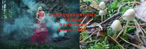 круглые Аркадак