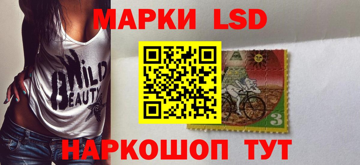 МЕФ Волхов