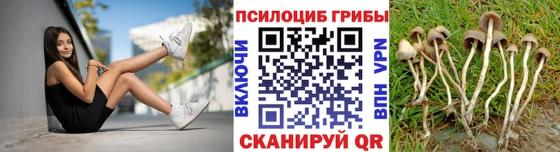Псилоцибиновые грибы прущие грибы Волхов
