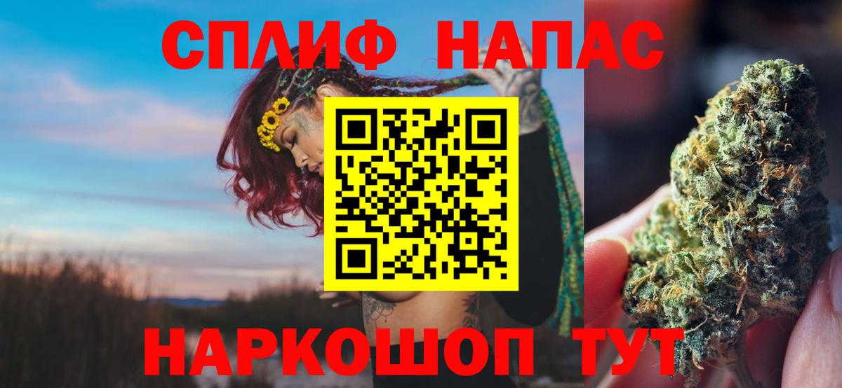 Конопля Ganja  Вход с VPN  Волхов  Марихуана план  Каннабис планчик 