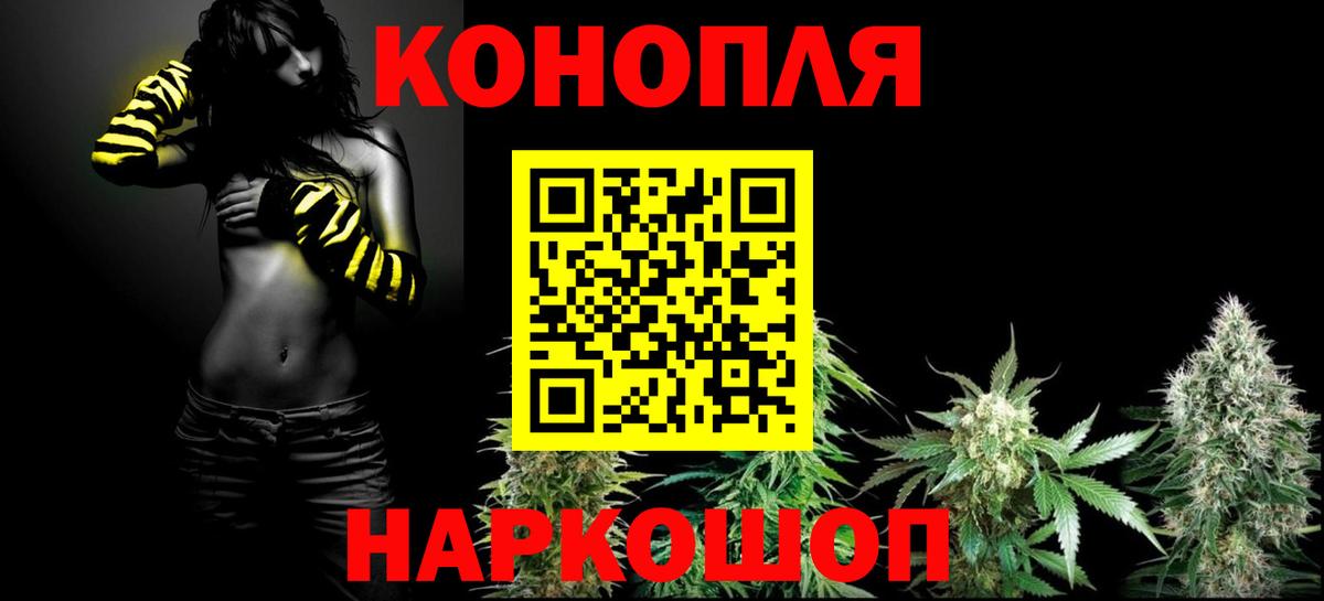 Бошки Шишки планчик Волхов